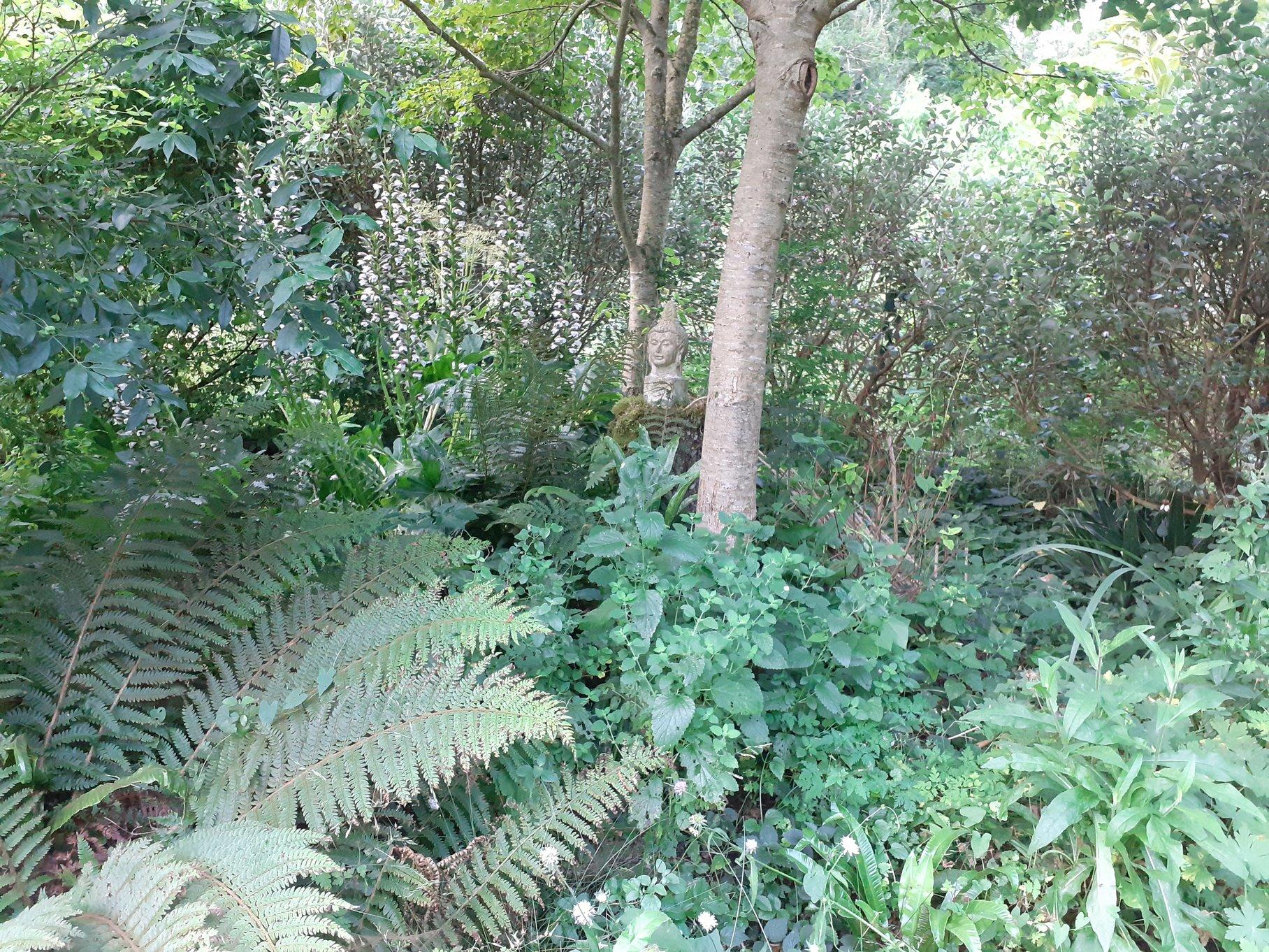 comparaison 30 juin 2025