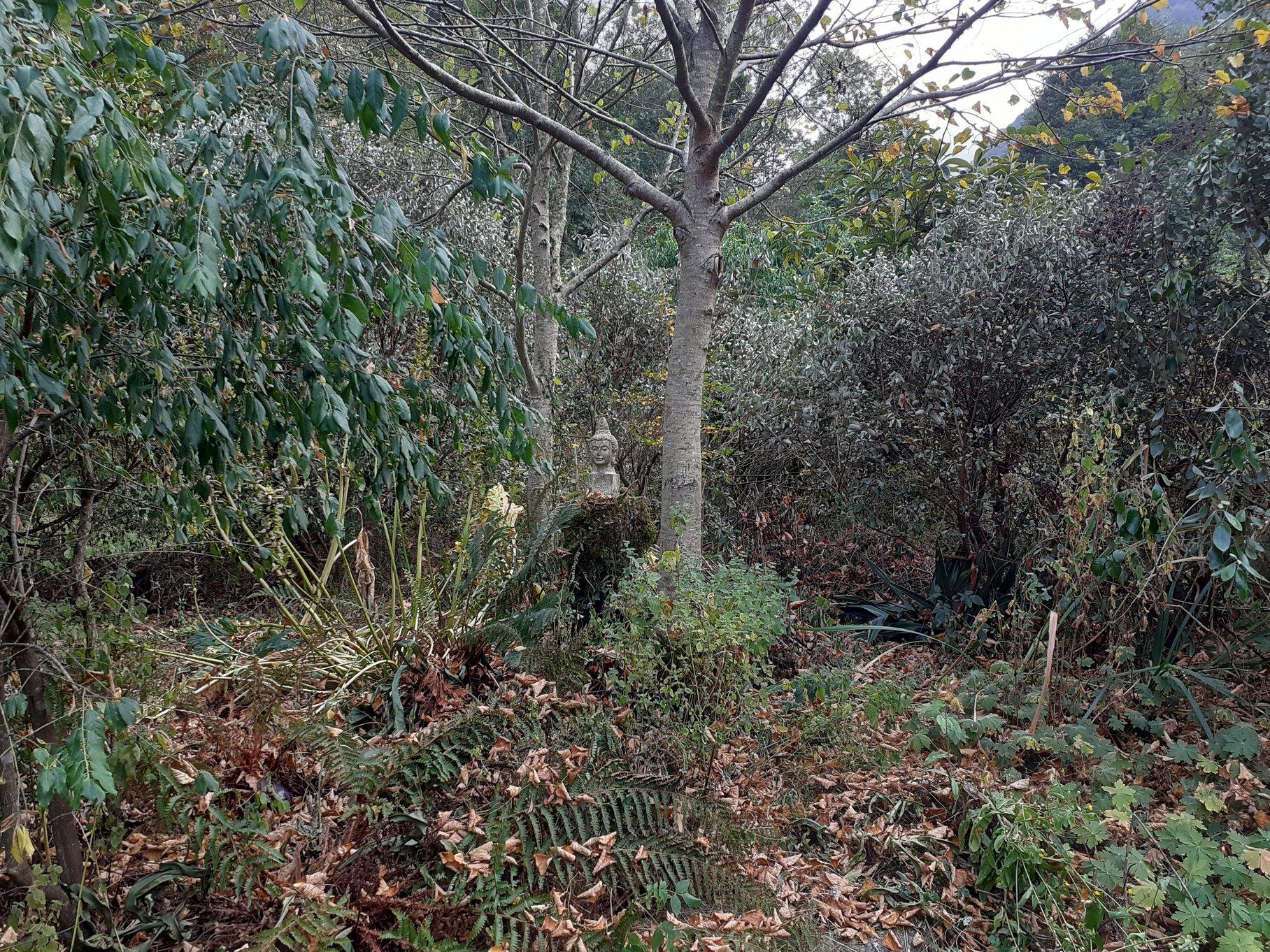 comparaison 17 août 2025,